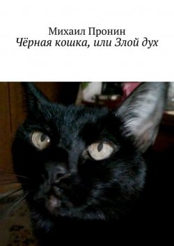 Книга "Чёрная кошка, или Злой дух" – Михаил Пронин