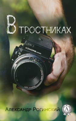 Книга "В тростниках" – Александр Рогинский