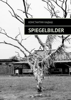 Книга "Spiegelbilder" – Константин Кадаш, Товарищ Эхо