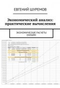 Экономический анализ: практические вычисления. Экономические расчеты онлайн (Евгений Леонидович Шуремов, Евгений Шуремов)