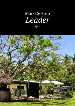 Книга "Leader. 3 part" – Maikl Sosnin