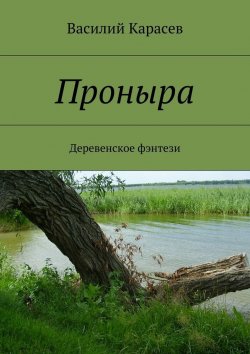 Книга "Проныра. Деревенское фэнтези" – Василий Карасев
