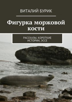 Книга "Фигурка моржовой кости. Рассказы, короткие истории, эссе" – Виталий Бурик