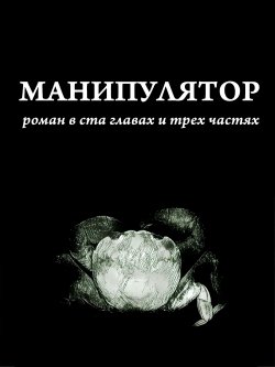 Книга "Манипулятор. Глава 013. Финальный вариант" – Дима Сандманн, 2017