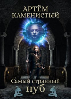 Книга "Самый странный нуб" – Артем Каменистый, 2014