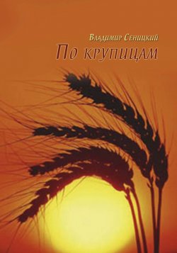 Книга "По крупицам" – Владимир Сеницкий, 2014
