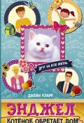 Книга "Энджел. Котёнок обретает дом" (М. Джейн Кларк, 2011)
