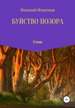 Книга "Буйство позора" – Николай Игнатков, 2017