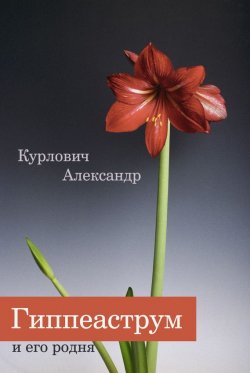 Книга "Гиппеаструм и его родня" – Александр Курлович, 2017