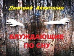 Книга "Блуждающие по сну" – Дмитрий Ахметшин
