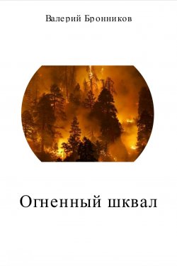 Книга "Огненный шквал" – Валерий Бронников