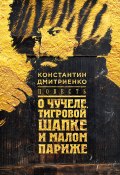 Повесть о чучеле, Тигровой Шапке и Малом Париже (Дмитриенко Константин, 2017)