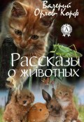 Рассказы о животных (Валерий Орлов-Корф)