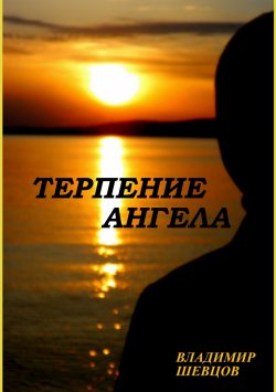Книга "Терпение ангела" – Владимир Шевцов