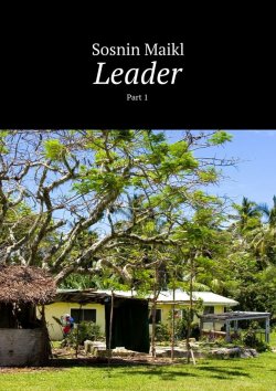 Книга "Leader. Part 1" – Maikl Sosnin