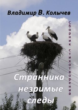 Книга "Странника незримые следы" – Владимир Колычев