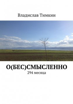Книга "О(бес)смысленно. 294 месяца" – Владислав Тимкин
