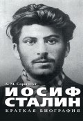 Иосиф Сталин. Краткая биография (Анастасия Сарычева)