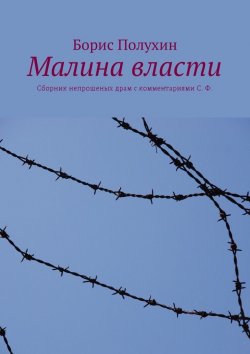 Книга "Малина власти. Сборник непрошеных драм с комментариями С. Ф." – Борис Полухин