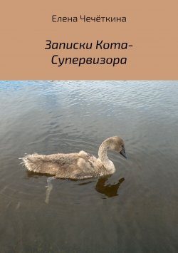 Книга "Записки Кота-Супервизора" – Елена Чечёткина