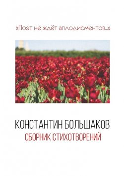 Книга "Поэт не ждёт аплодисментов… Сборник стихотворений" – Константин Большаков