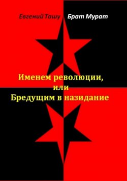 Книга "Именем революции, или Бредущим в назидание" – Брат Мурат, Евгений Ташу, 2017