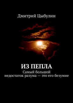 Книга "Из пепла. Самый большой недостаток разума – это его безумие" – Дмитрий Цыбулин