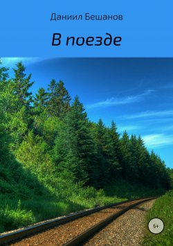 Книга "В поезде" – Даниил Бешанов