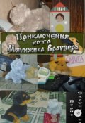 Приключения кота Мяунжика Враузера (Евстигнеев Борис)