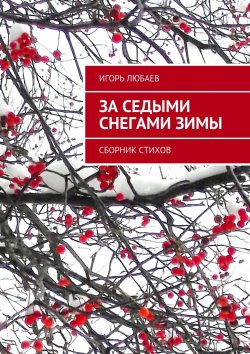 Книга "За седыми снегами зимы. Сборник стихов" – Игорь Любаев