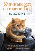 Книга "Уличный кот по имени Боб. Как человек и кот обрели надежду на улицах Лондона" (Боуэн Джеймс, 2012)