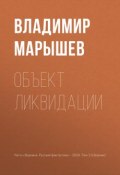 Объект ликвидации (Владимир Марышев, 2018)
