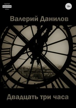 Книга "Двадцать три часа" – Валерий Данилов, 2017