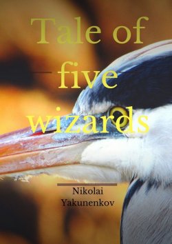 Книга "Tale of five wizards" – Nikolai Yakunenkov