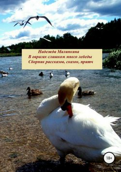 Книга "В оврагах слишком много лебеды…" – Надежда Малинкина, 2011