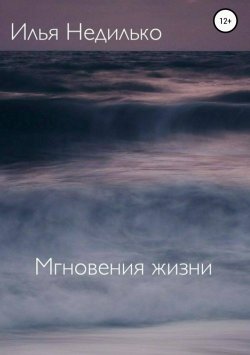 Книга "Мгновения жизни" – Илья Недилько
