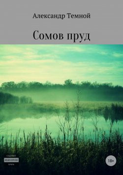 Книга "Сомов пруд" – Александр Темной, 2011