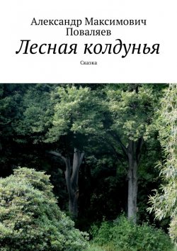 Книга "Лесная колдунья. Сказка" – Александр Поваляев