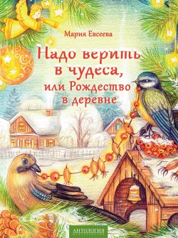 Книга "Надо верить в чудеса, или Рождество в деревне" {Мой удивительный мир} – Мария Евсеева, 2017