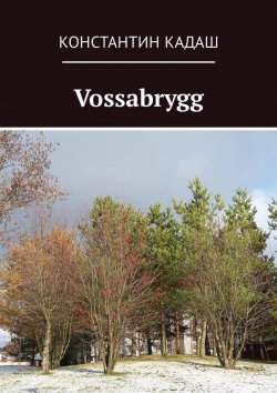 Книга "Vossabrygg" – Константин Кадаш
