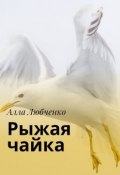 Рыжая чайка (Алла Любченко)