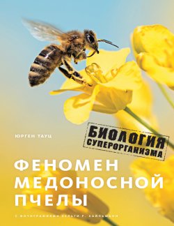 Книга "Феномен медоносной пчелы. Биология суперорганизма" – Юрген Тауц, 2007