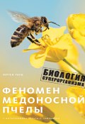 Феномен медоносной пчелы. Биология суперорганизма (Юрген Тауц, 2007)