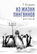 Из жизни пингвинов. Рассказы (Петрович Р.)