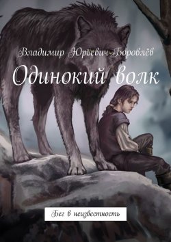 Книга "Одинокий волк. Бег в неизвестность" – Владимир Боровлёв