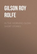 In the Morning Glow: Short Stories (Roy Gilson)