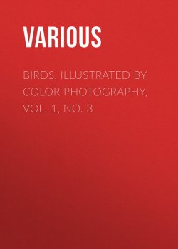Книга "Birds, Illustrated by Color Photography, Vol. 1, No. 3" – Various
