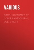 Birds, Illustrated by Color Photography, Vol. 1, No. 3 (Various)