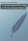 The Bradys Beyond Their Depth: or, The Great Swamp Mystery (Francis Doughty)
