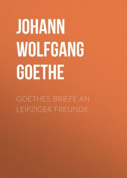 Книга "Goethes Briefe an Leipziger Freunde" – Иоганн Гёте, Иоганн Гёте, Иоганн Вольфганг Гёте
